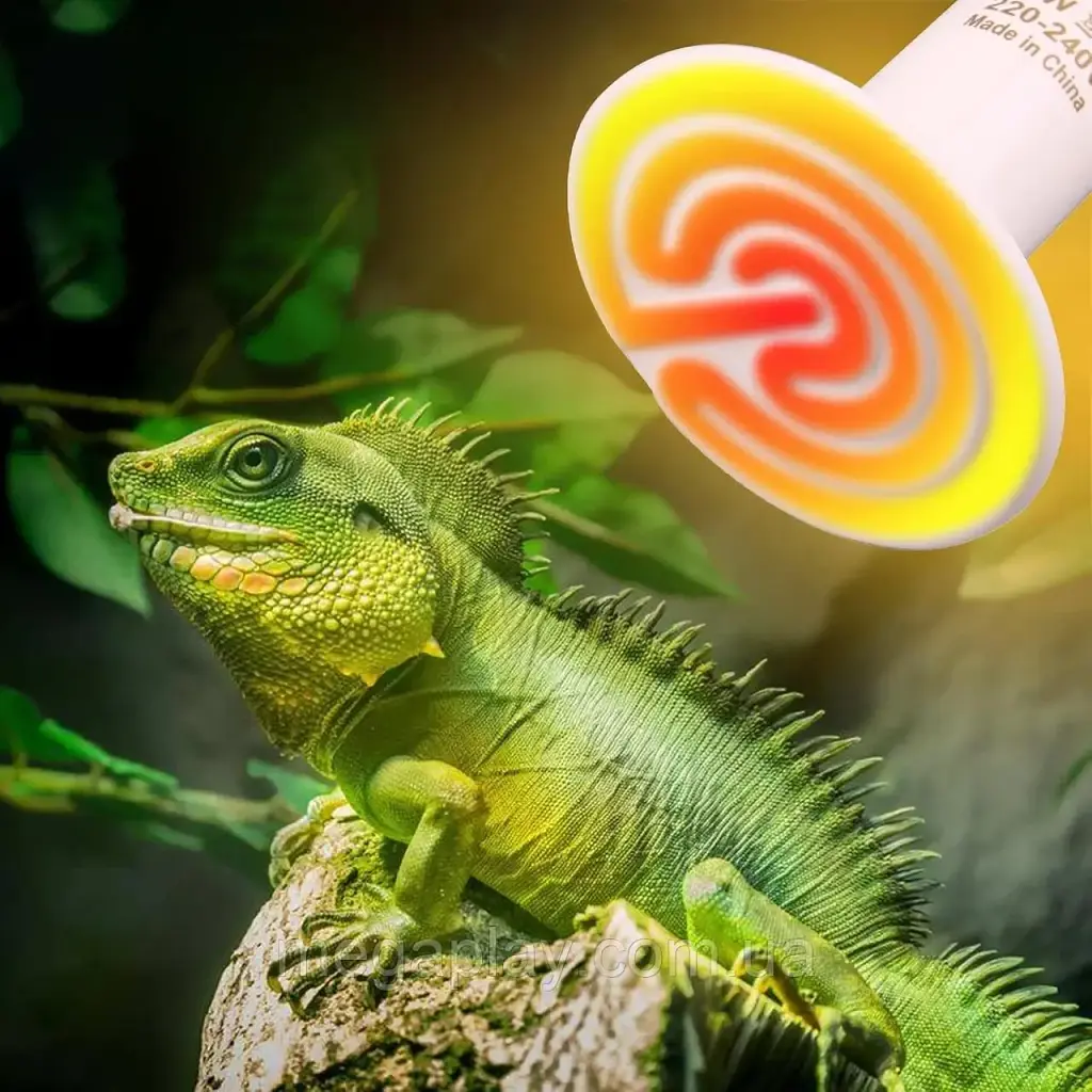 Лампа для обігріву терраріуму DERNORD Reptile Heat Lamp E27 , 75 Вт для рептилій - фото 5