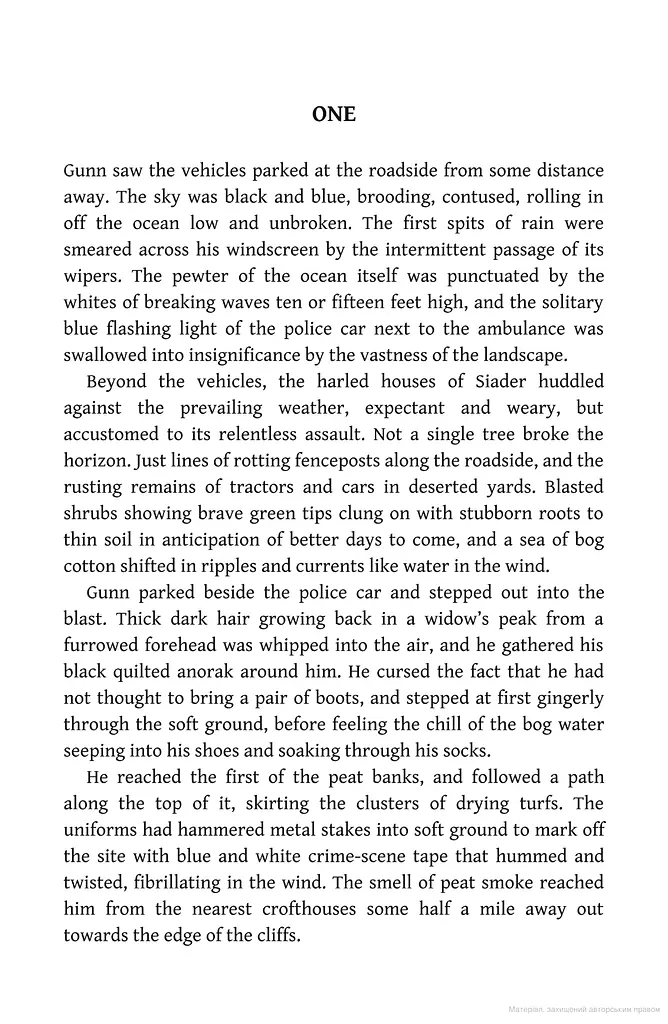 The Lewis Man. Book 2 - фото 3