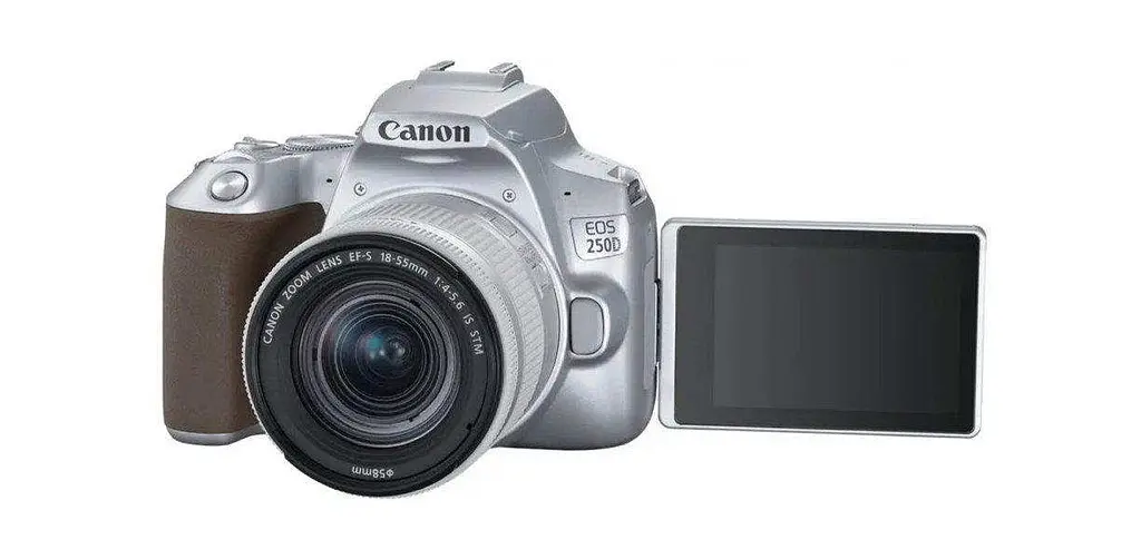 Фотоапарат Canon EOS 250D + 18-55mm IS STM Silver - фото 4