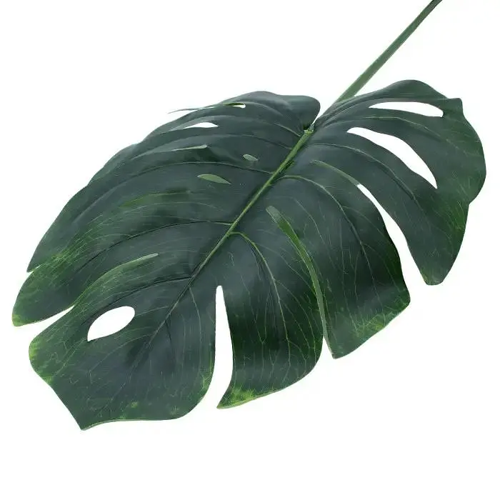 Штучне листя Engard Monstera 74 см (TW-06) - фото 6