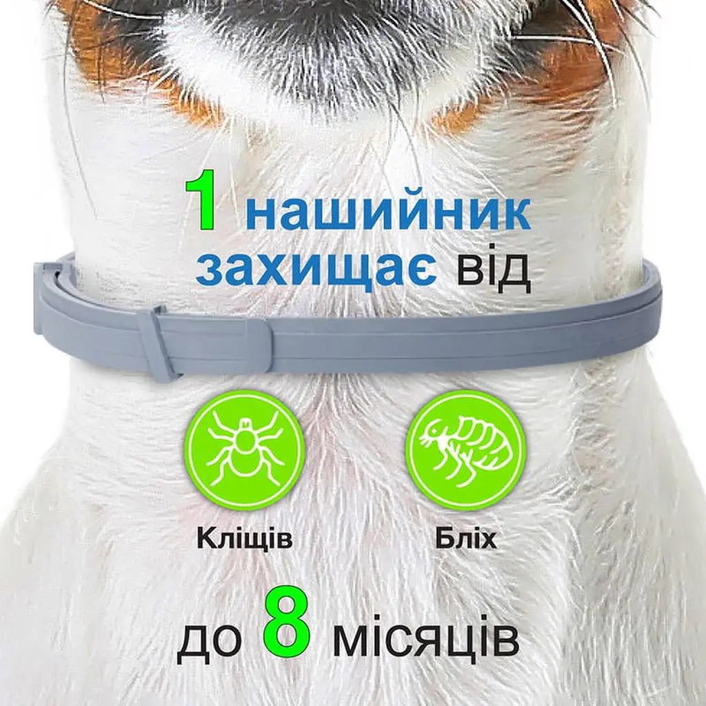 Нашийник Elanco (Bayer) Foresto від бліх та кліщів для собак від 8 кг 70 см - фото 4