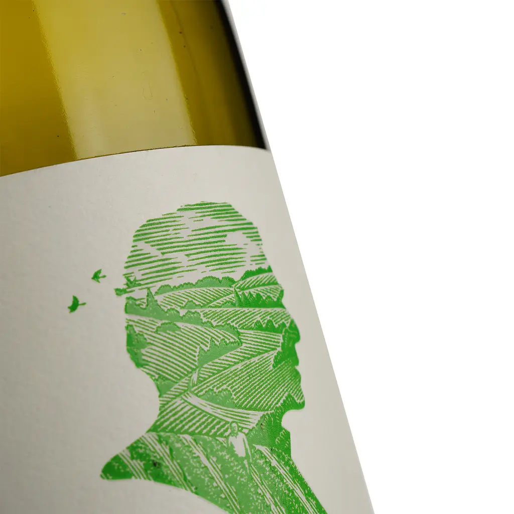 Вино Peter Lehmann Riesling Portrait, біле, сухе, 11,5%, 0,75 л (790910) - фото 3