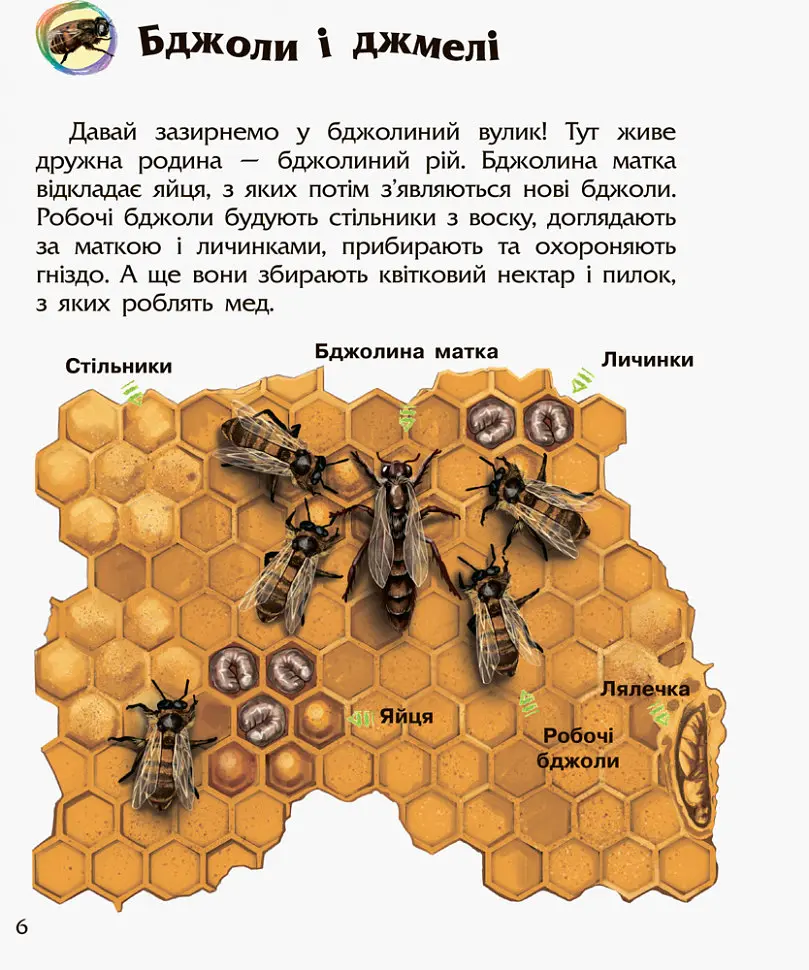 Дитяча енциклопедія про комах 614014 для дошкільнят - фото 3