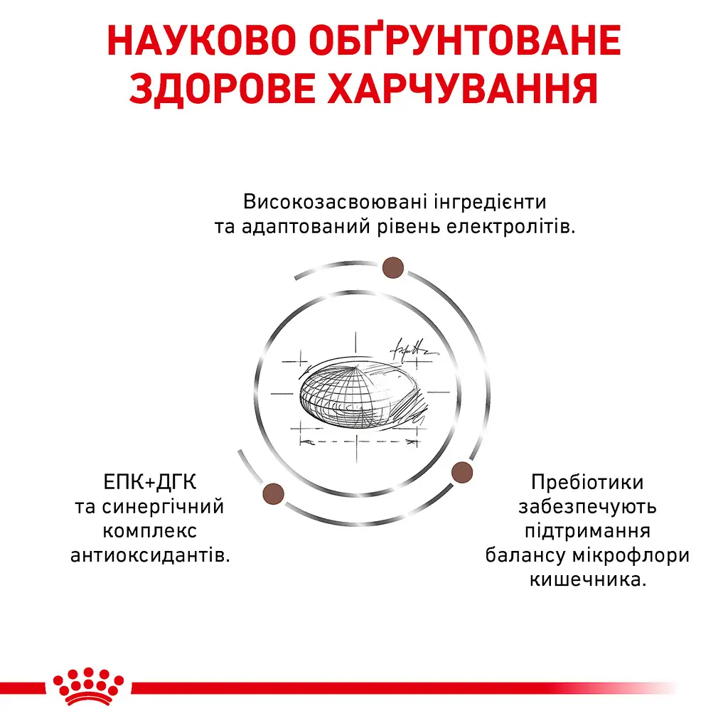 Сухий дієтичний корм для кішок Royal Canin Gastrointestinal Moderate Calorie при порушенні травлення зі зниженим вмістом калорій, 4 кг (4008040) - фото 2