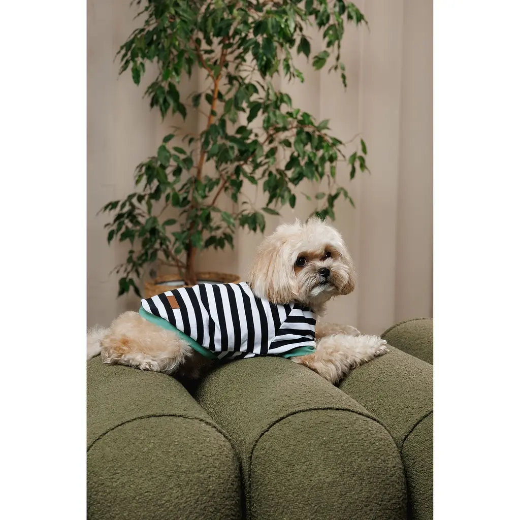 Футболка Pet Fashion Breeze для собак XS - фото 8