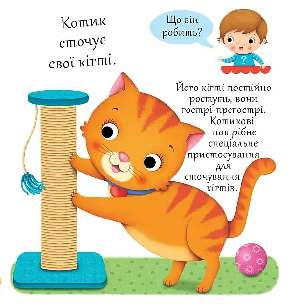Котики - фото 2