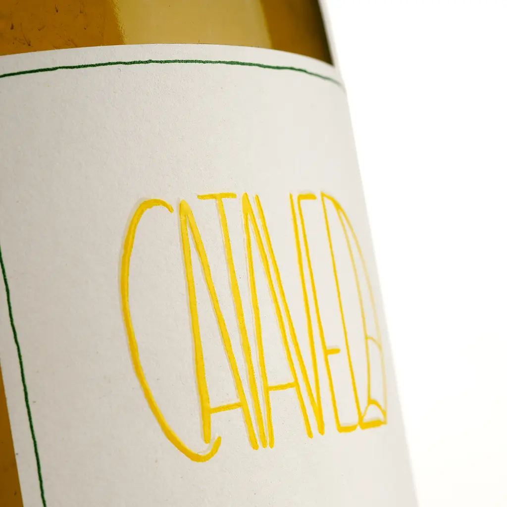 Вино Denavolo Catavela белое сухое 0.75 л - фото 3