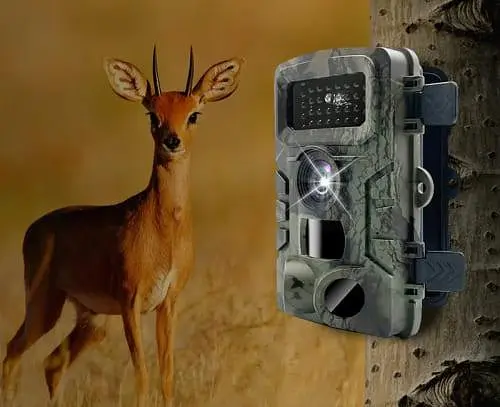 Фотолівка мисливська — Outdoor camera - фото 7