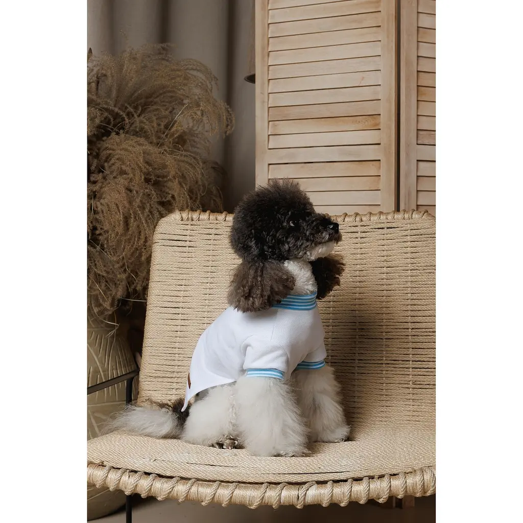 Футболка Pet Fashion Polo для собак XS2 - фото 5