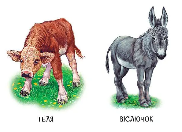 22 картинки. Свійські тварини - - фото 4