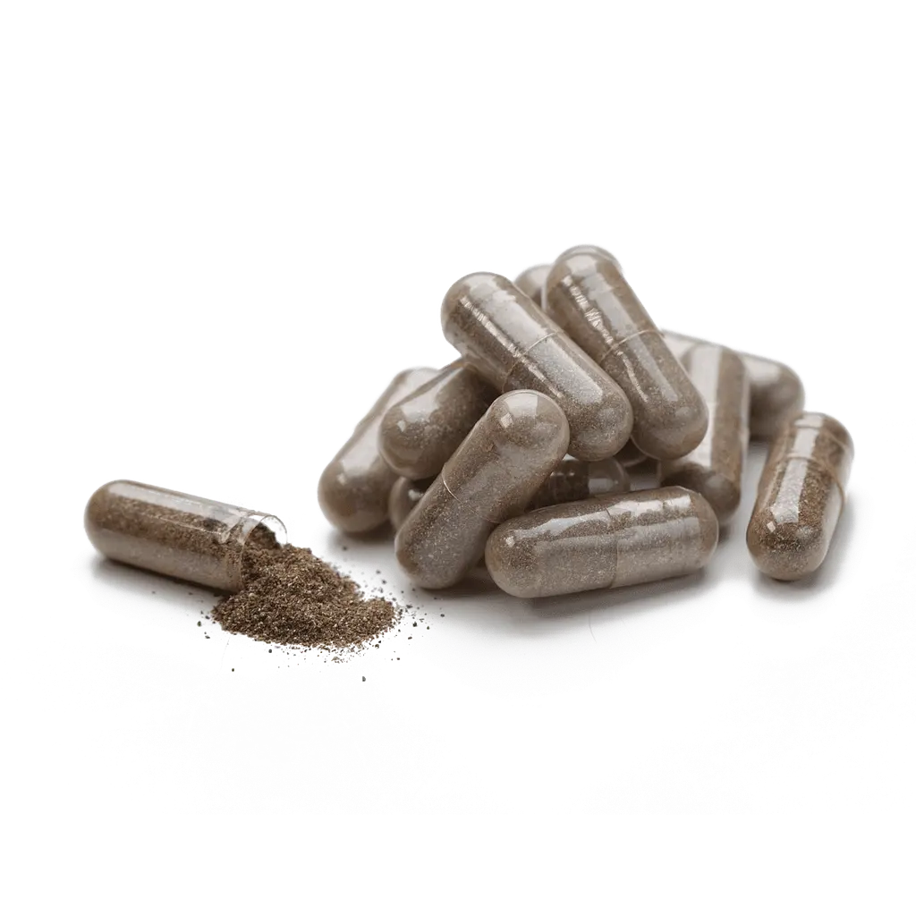 Готу Кола НСП, 100 капсул | Gotu Kola NSP - фото 2