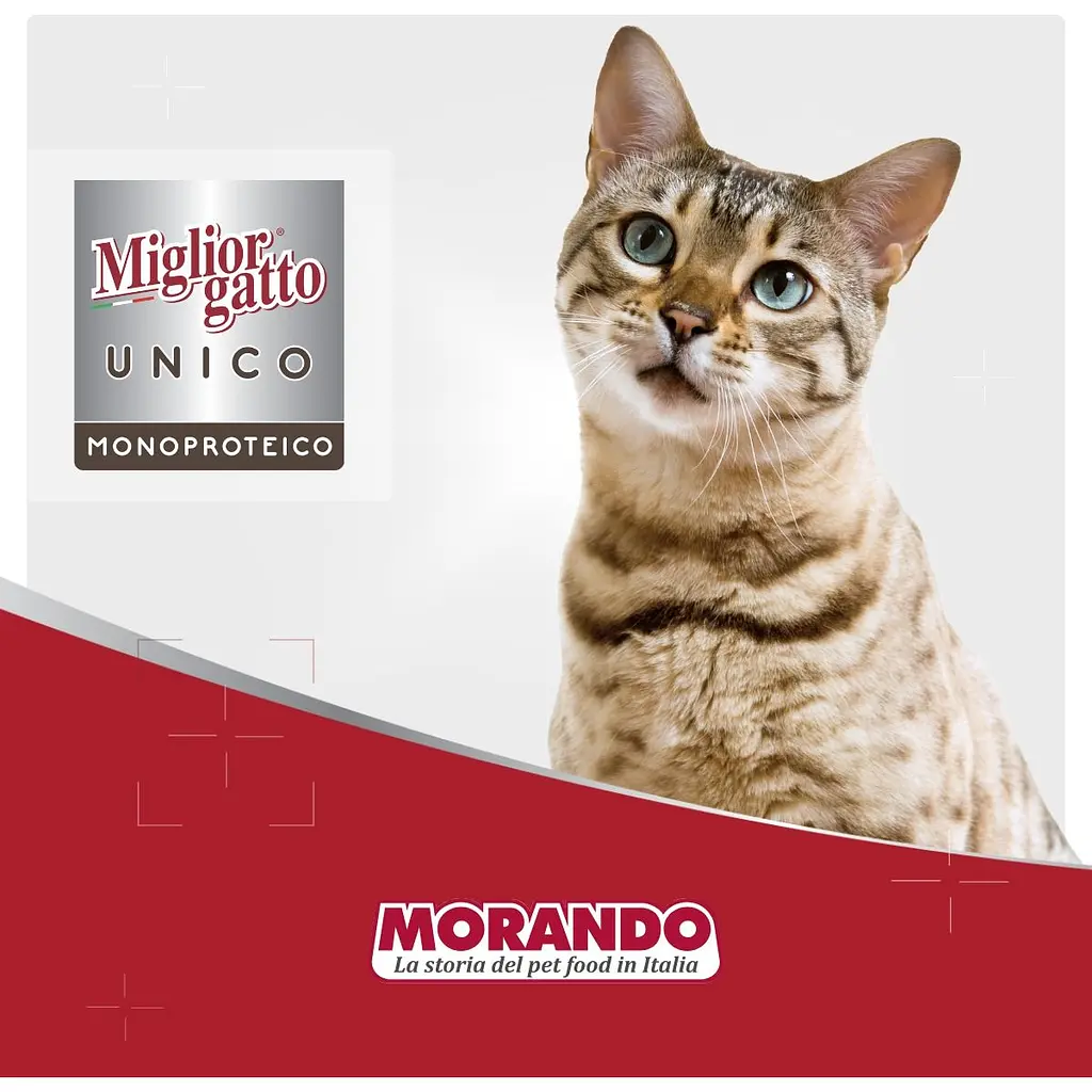 Влажный корм для кошек Morando Migliorgatto Unico Rustic индейка 400 г - фото 5