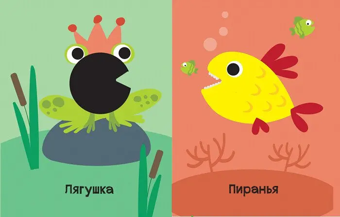 Книга Ранок На кого схожі тваринки? - Ангеліна Журба (К1272001У) - фото 2