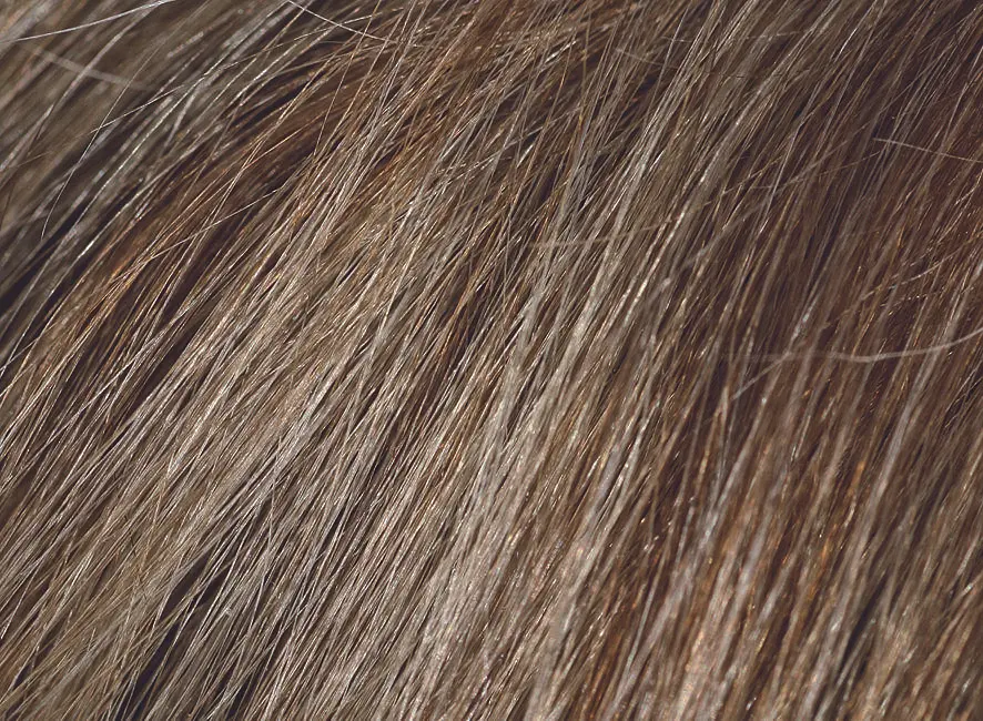 Шампунь камуфлюючий Beardburys Men's Color Shampoo Light Brown 5N світло-коричневий - фото 5