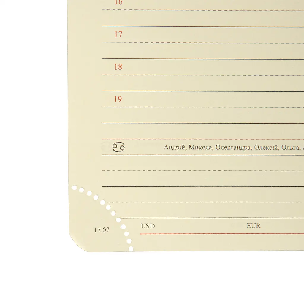 Дневник-деловая записная книжка А5 Leo Planner датированный 2026 Case коричневый 368 страниц (252659) - фото 4