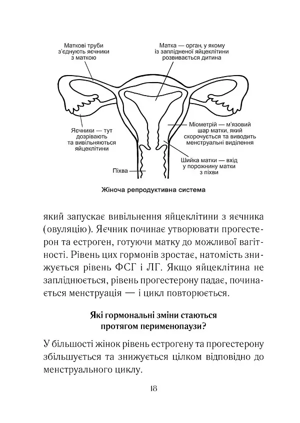 Бути жінкою. Усе про клімакс та менопаузу - Луїза Ньюсон - фото 6