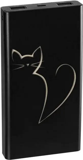 Портативна батарея Gelius Pro Led Power Cat GP-PB10-10L 10000mAh Black - фото 2