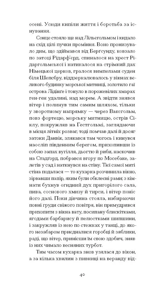 Червона кімната - Стріндберґ Авґуст (СТ902323У) - фото 9