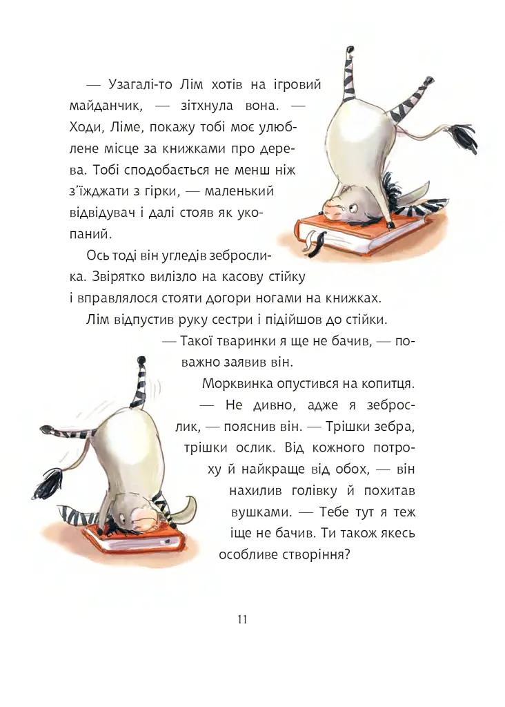 Грімм та Морквинка. Весна, літо, осінь та зеброслик. Книга 2 - Стефані Шнайдер - фото 8