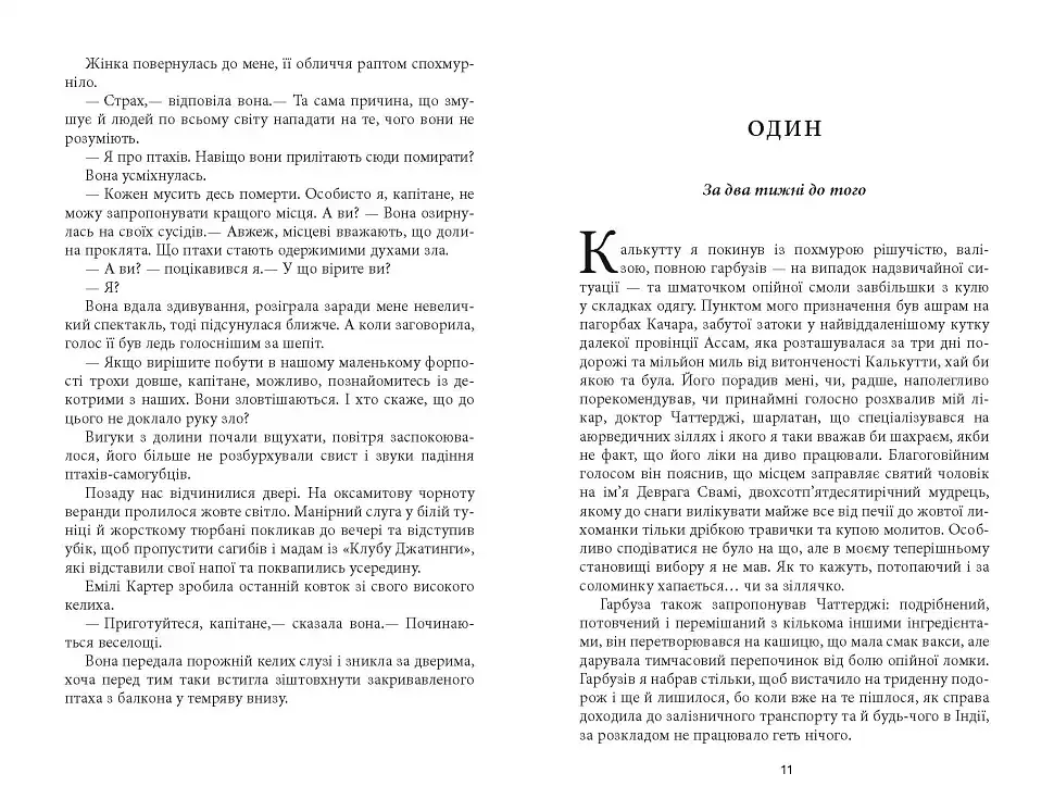Смерть на Сході - Абір Мухерджі - фото 6