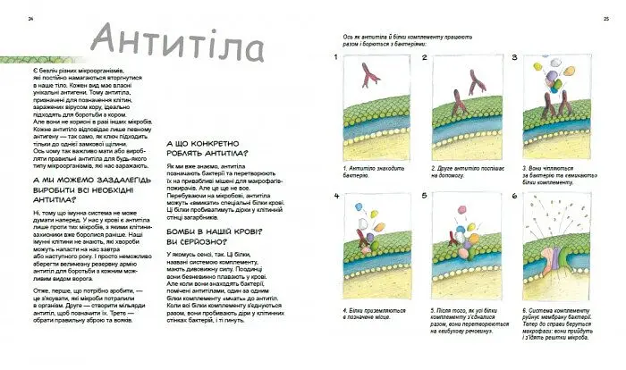 Книга Ранок Герої та лиходії в нашому тілі - Патрік А. Боерле (С1354007У) - фото 5