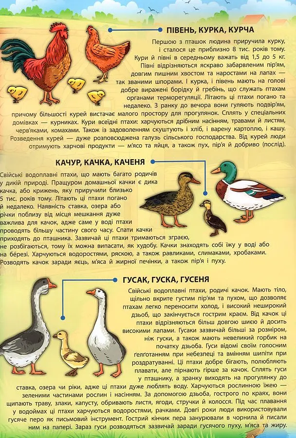 Енциклопедія з наліпками. Свійські тварини - Катерина Смірнова - фото 5