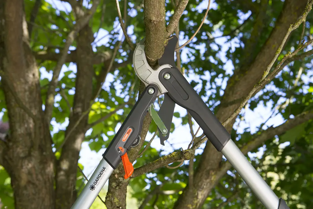 Сучкоріз із храповим механізмом Gardena SmartCut 590 A (08773-20) - фото 2