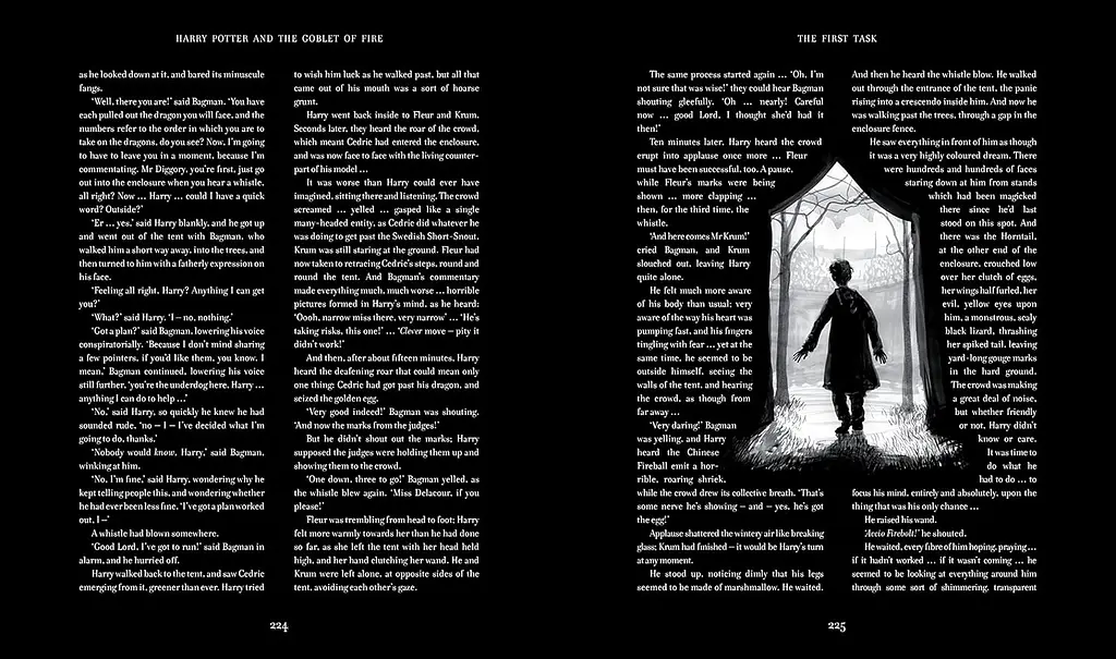 Harry Potter and the Goblet of Fire. Book 4. Illustrated Edition - фото 6
