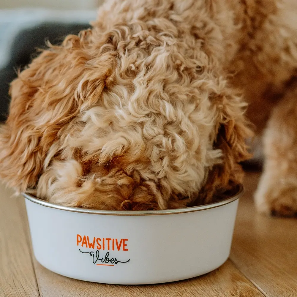 Миска для котів та собак Nobby Pawsitive Vibes нержавіюча сталь сіра Ø 20 см 1800 мл 73872 - фото 3