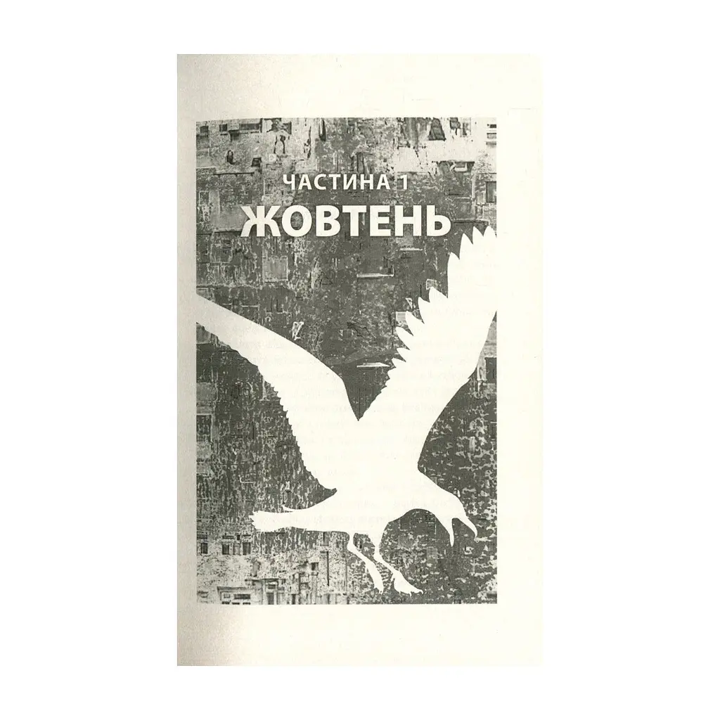 Книга Місто Боуган - Кевін Баррі Астролябія (9786176641285) - фото 4