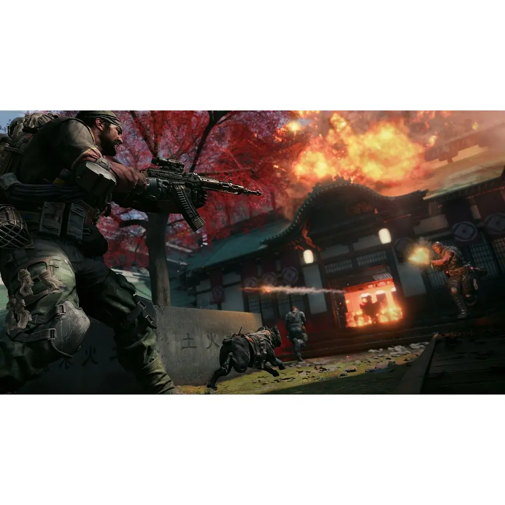 Ключ активации Microsoft Call of Duty: Black Ops 4 для Xbox One/Series - фото 8