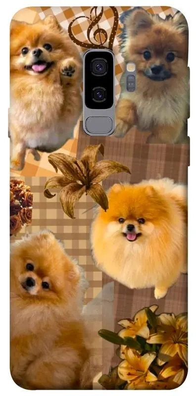 TPU чохол Demsky Spitz aethtetic для Samsung Galaxy S9+