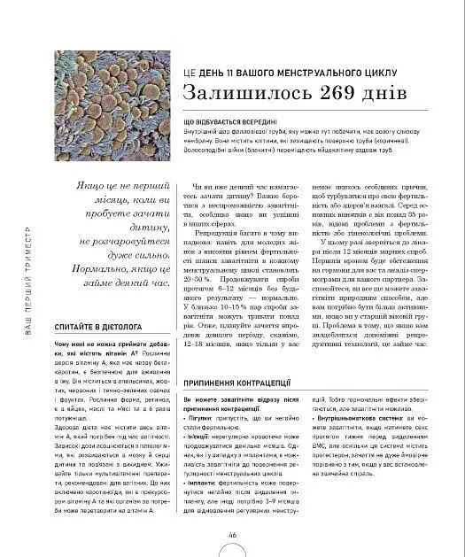Вагітність день за днем - Меггі Блотт - фото 9