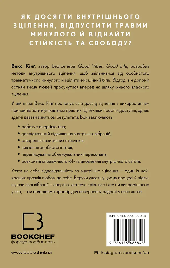 Healing Is the New High. Посібник із подолання емоційних потрясінь і здобуття свободи - Векс Кінґ - фото 2