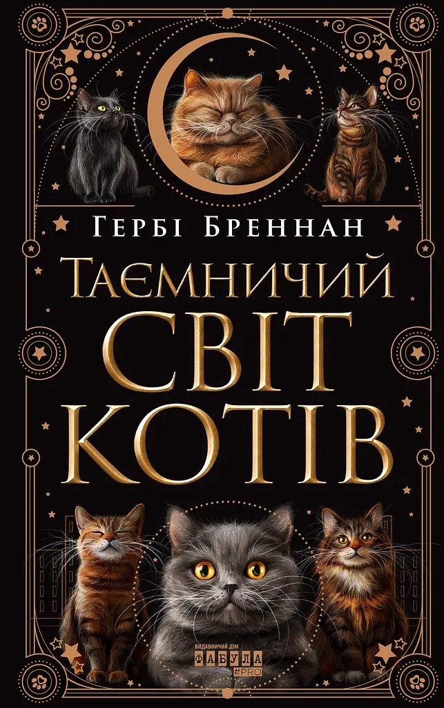Таємничий світ котів