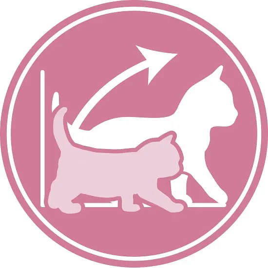 Сухий корм для кошенят Royal Canin Kitten м'ясо птиці та рис 2 кг - фото 4