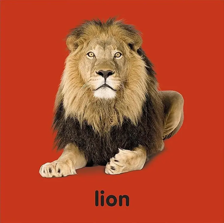 Baby Touch and Feel Bible Animals - DK - фото 4