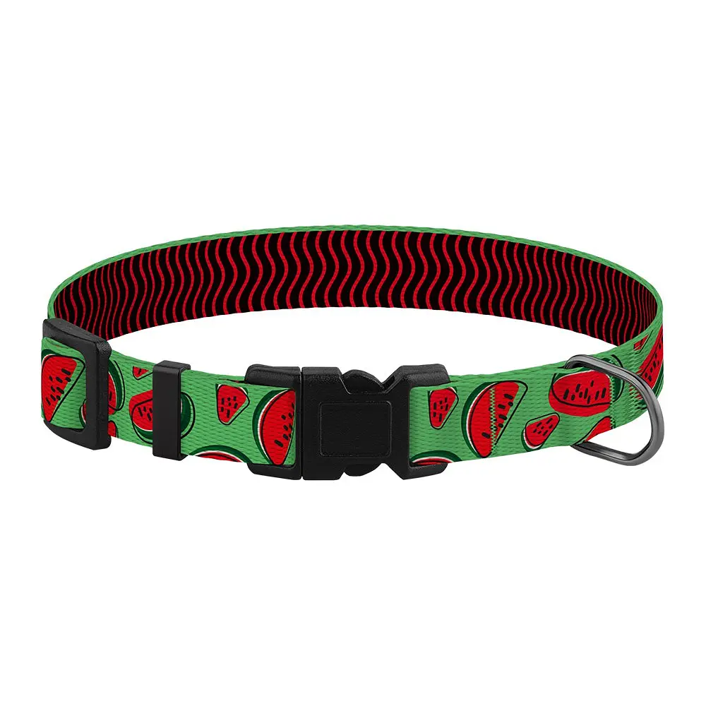 Нашийник для собак BronzeDog Urban Fruits Кавун XS - фото 2