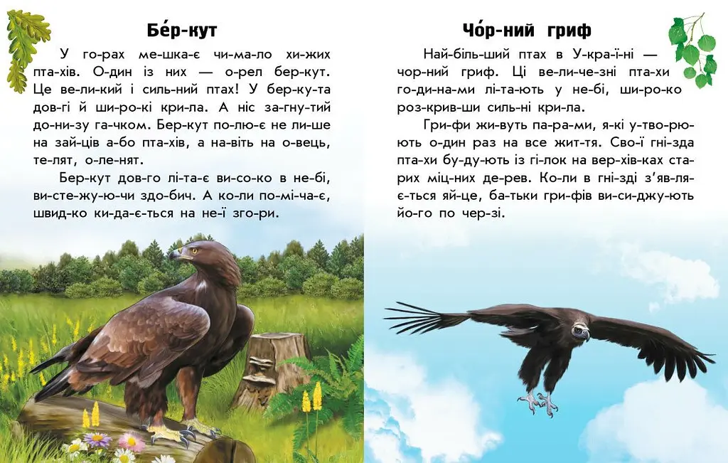 Книга Ранок Читаю про Україну. Тварини гір - Юлія Каспарова (С366021У) - фото 4