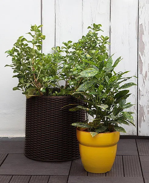 Горшок для цветов Keter 18 л Cylinder Planter Medium коричневый - фото 3