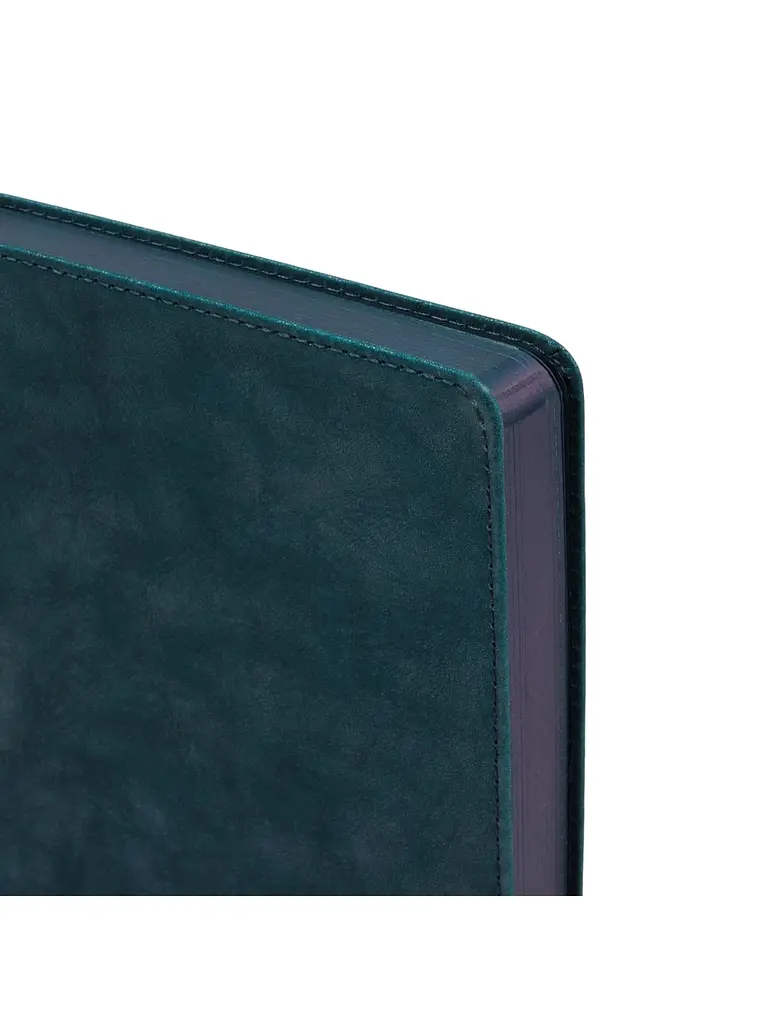 Щоденник 2027 А5 LEO Planner Case датований темний (252745) - фото 3
