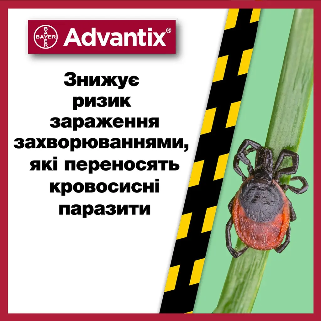 Краплі Elanco (Bayer) Advantix від бліх і кліщів для собак від 40 до 60 кг 24 мл  (6 мл x 4 піпетка) - фото 12