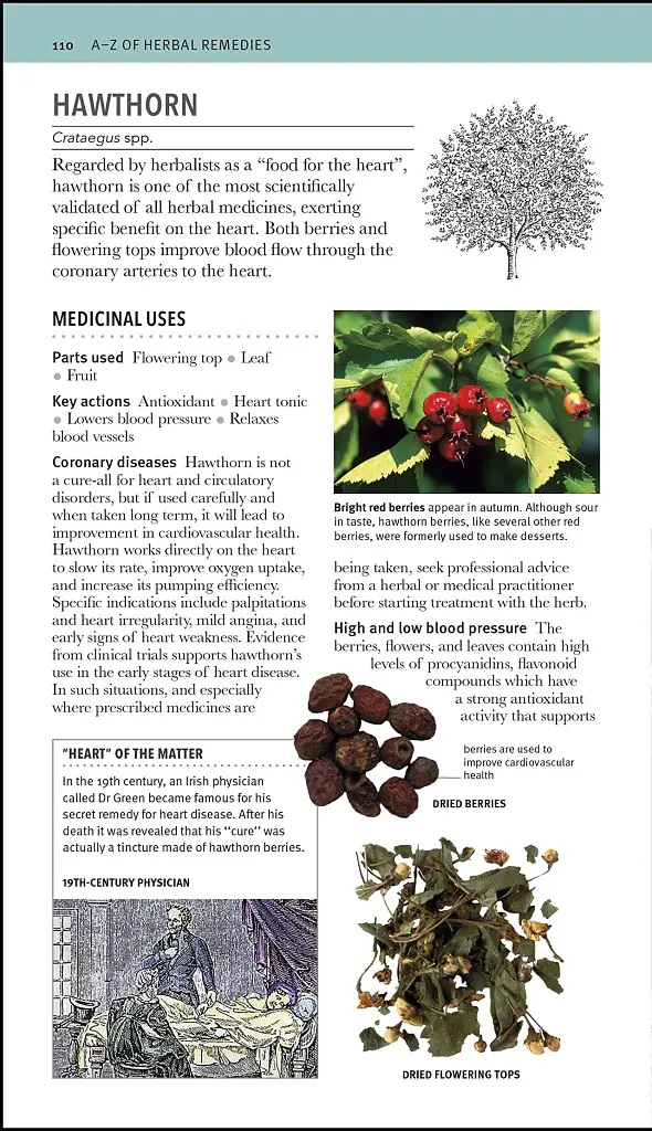 Herbal Remedies Handbook - фото 3