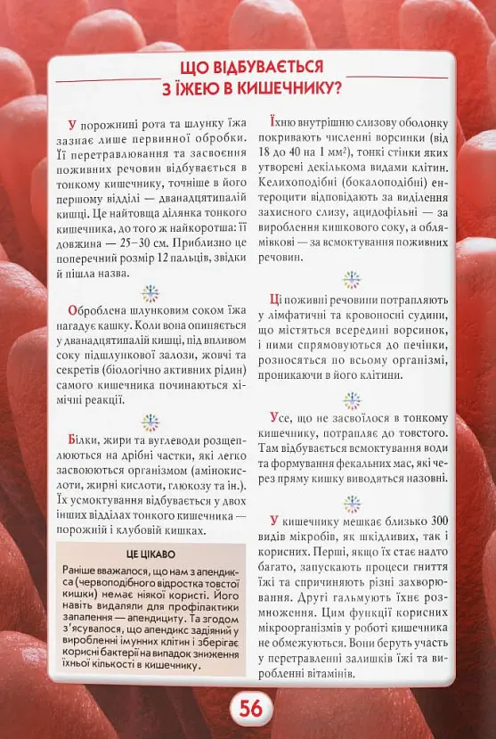 Ви маєте це знати. Тіло людини - - фото 13