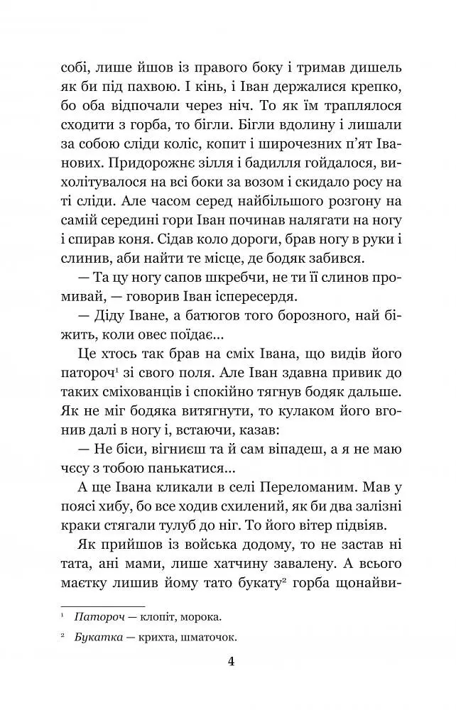 Камінний хрест - Василий Стефаник (978-966-10-5347-1) - фото 6