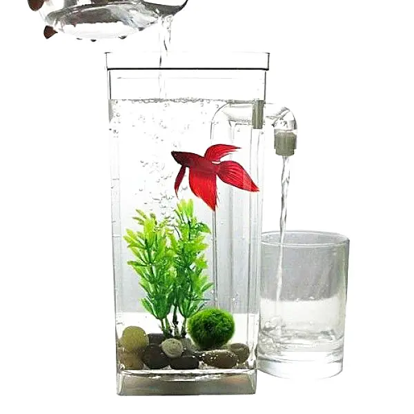 Акваріум самоочисний для рибок з LED підсвічуванням акриловий 2L 25см My Fun Fish - фото 2