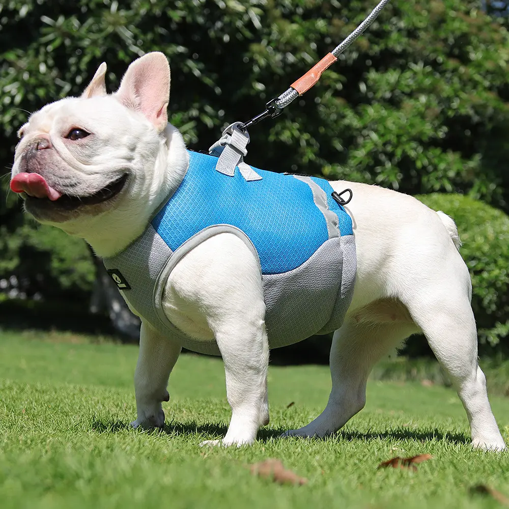 Літній охолоджувальний жилет для собак Derby Summer Dog Cooling Vest PPA0116-4, Blue, L - фото 2