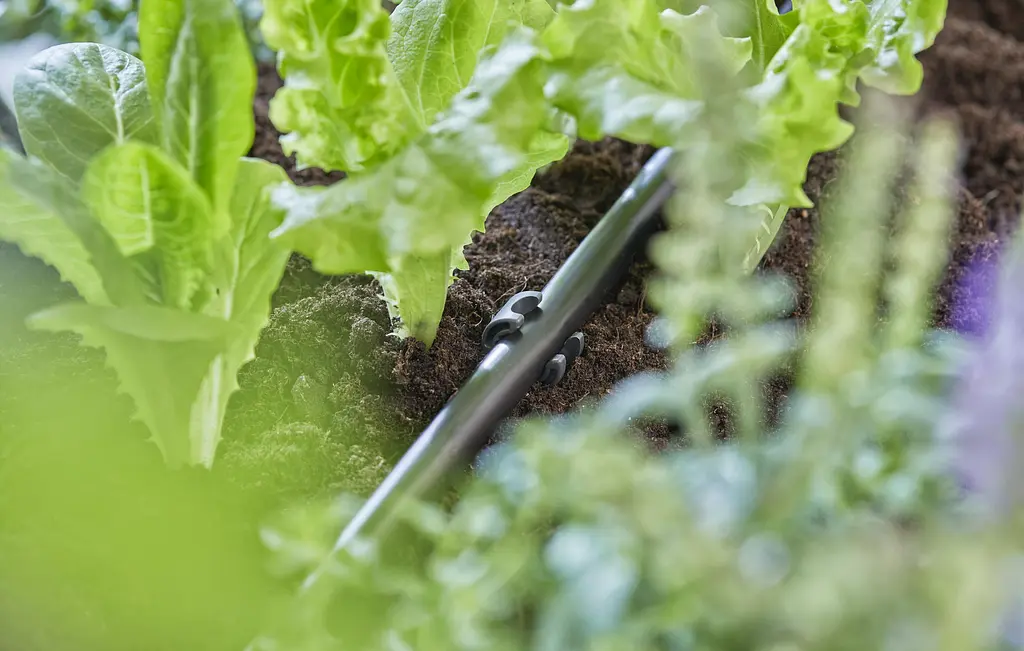 Кілочки Gardena Micro-Drip-System для шлангів 13 мм 1/2", 10 шт (13208-20) - фото 3