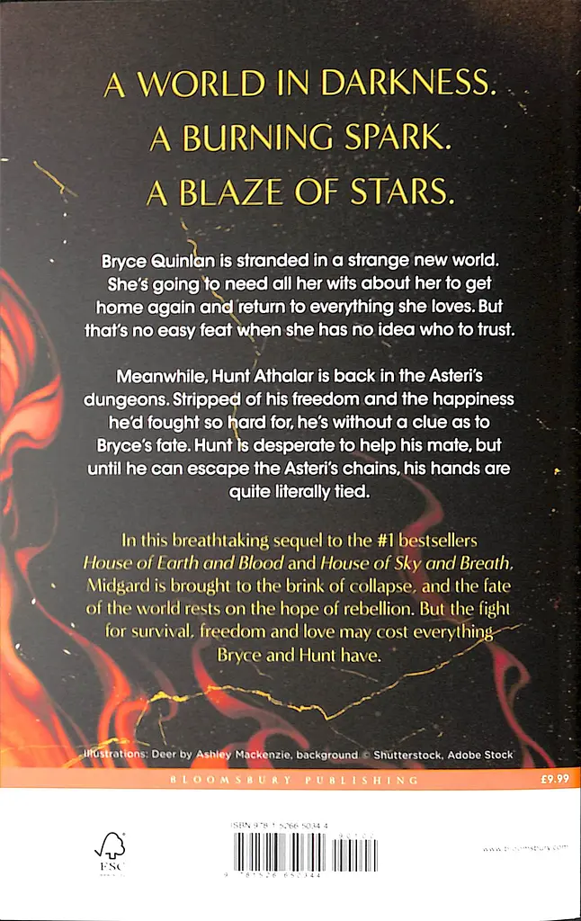 House of Flame and Shadow - фото 2
