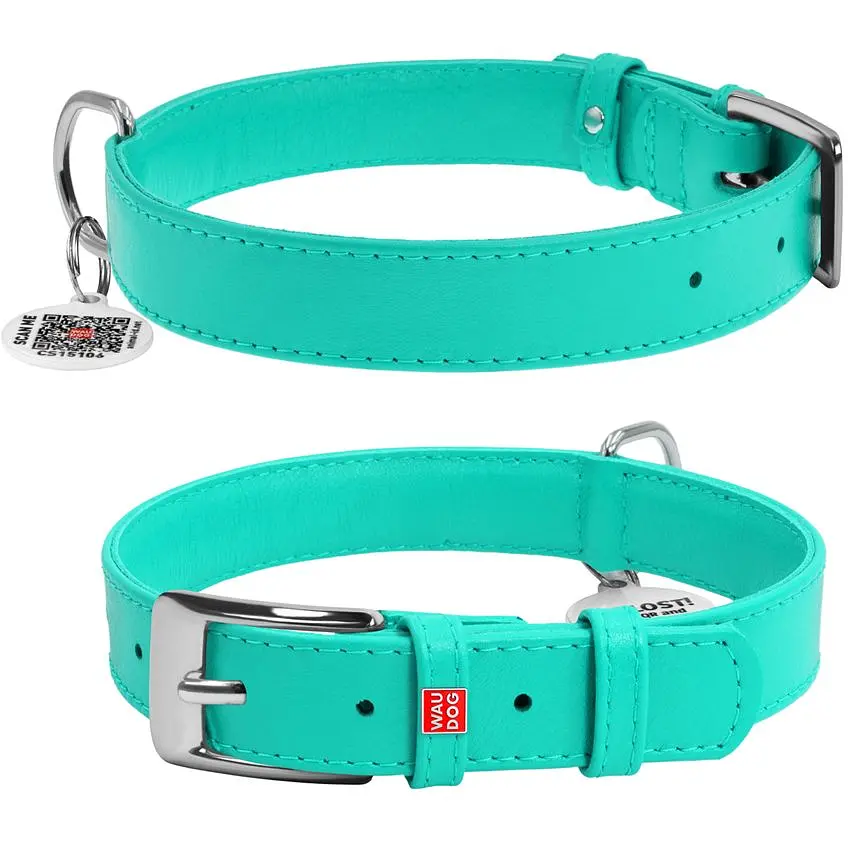 Ошейник для собак Waudog Glamour, кожаный, с QR паспортом, 38-49х2,5 см, ментоловый - фото 3